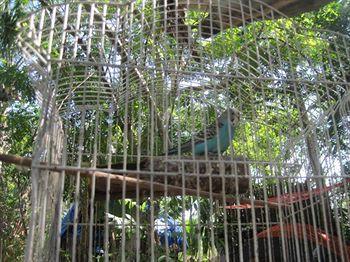 Yucatan Mayan Retreat Ecohotel And Camping Chichén-Itzá المظهر الخارجي الصورة